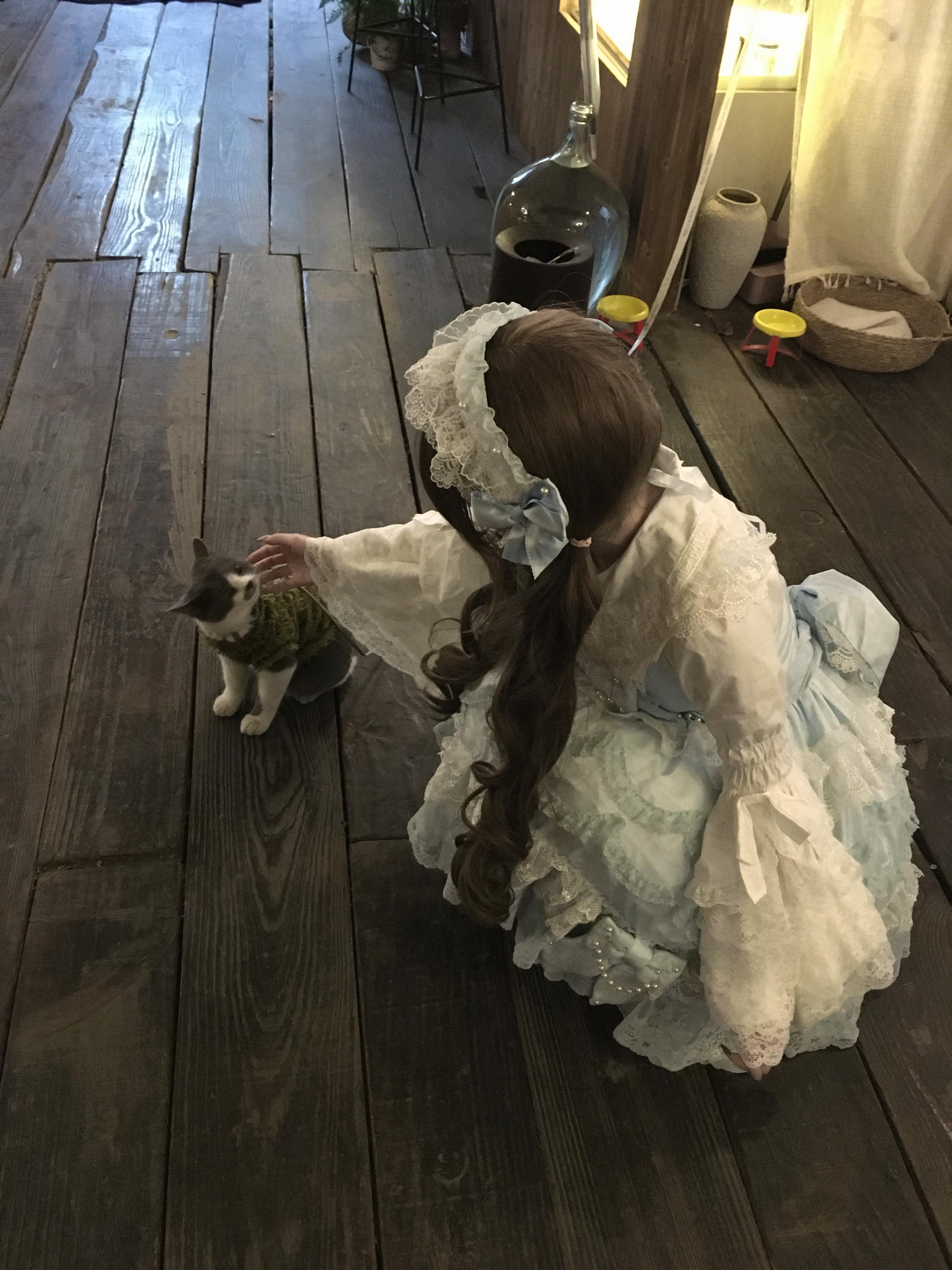 小猫