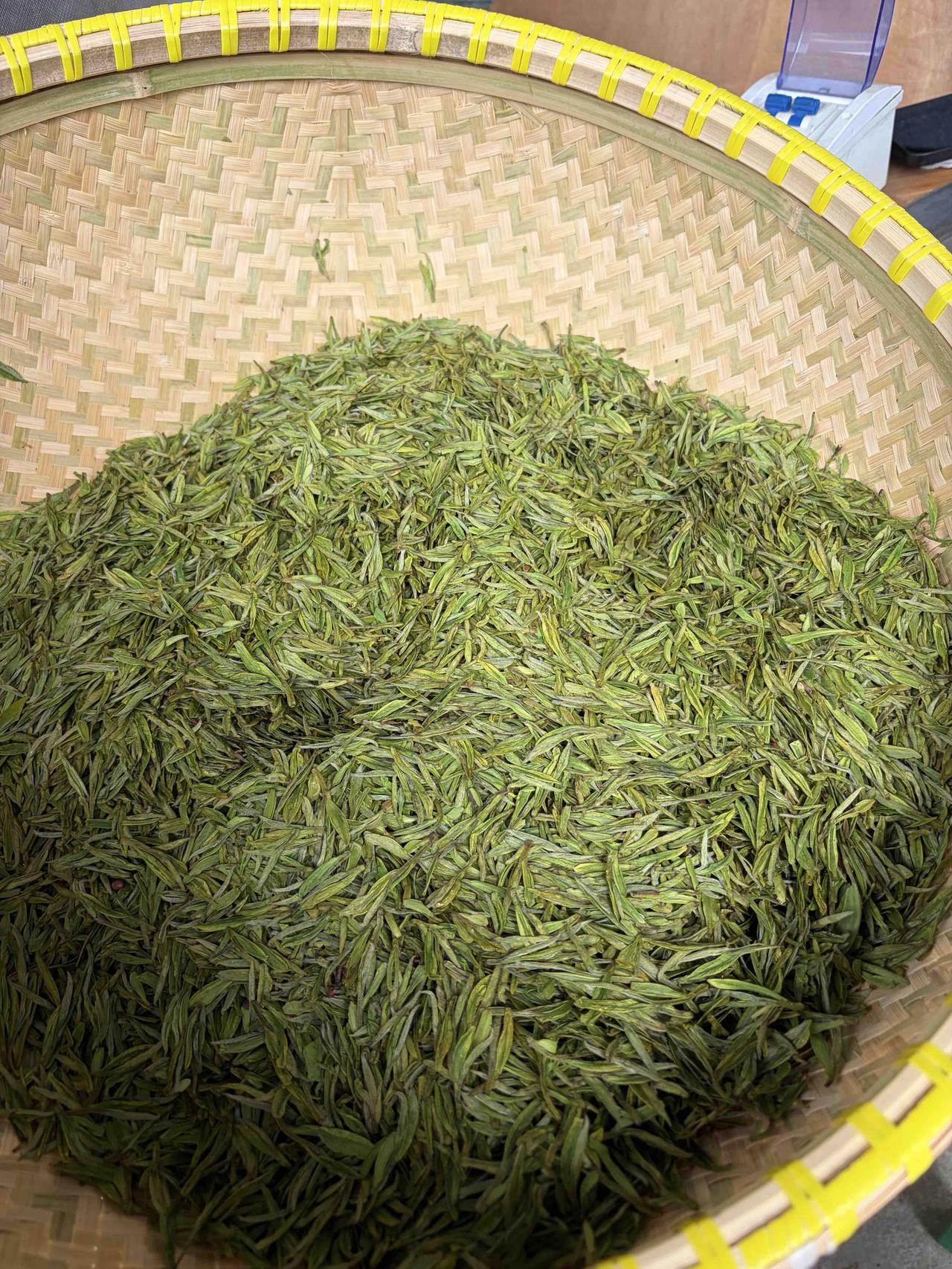 安吉白茶的出路在哪里？半手工小白龙。算一个吧[呲牙]
昨晚杀青，今早辉锅，成品滋