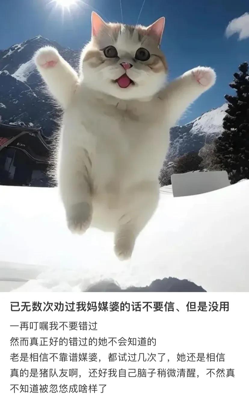 我爸妈就喜欢那种别人嘴里的“老实人”跟他们说了很多次现在追求门当户对，要是差太多