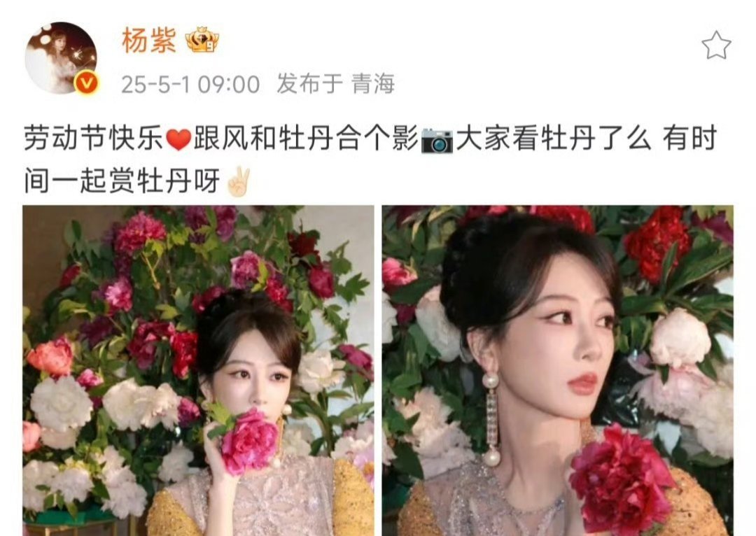 杨紫和牡丹合影五一快乐  牡丹娘子什么时候能与金疙瘩相见何惟芳创下多个榜单top