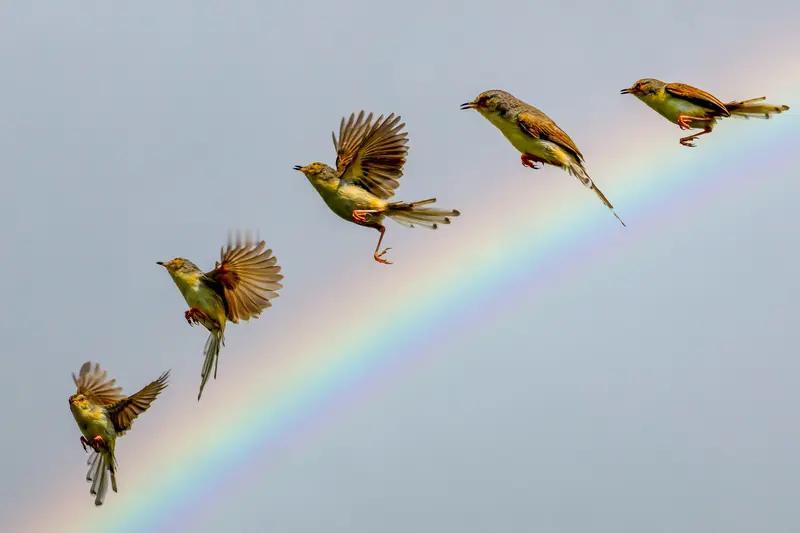 下联:幸福生活万年长，请你对上联风调雨顺千般好
