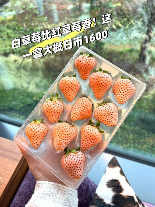 🇯🇵便利商店必买清单！