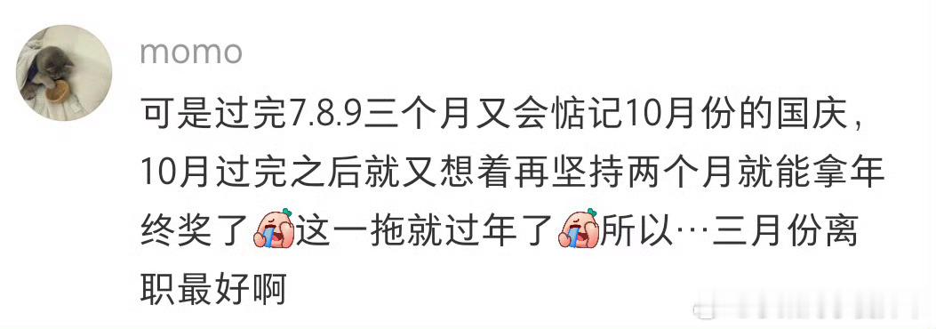 离职就不能吹免费空调说实话，现在这行情，哪个月都最好不要离职吧，能干就先干先小梁