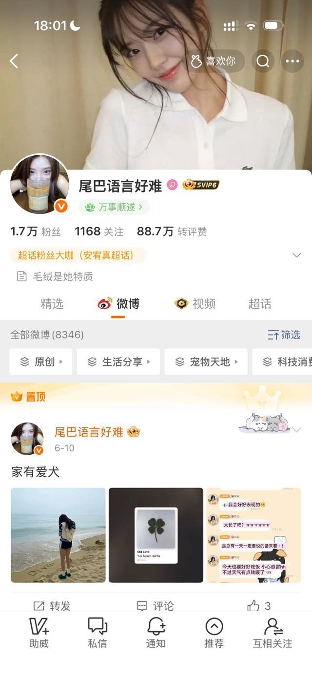 我终于橙了呀 