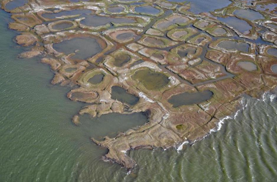 北极冰川逐年加速融化海平面上升，全球气候发生细微变化，未来地球生态格局会迎来怎样