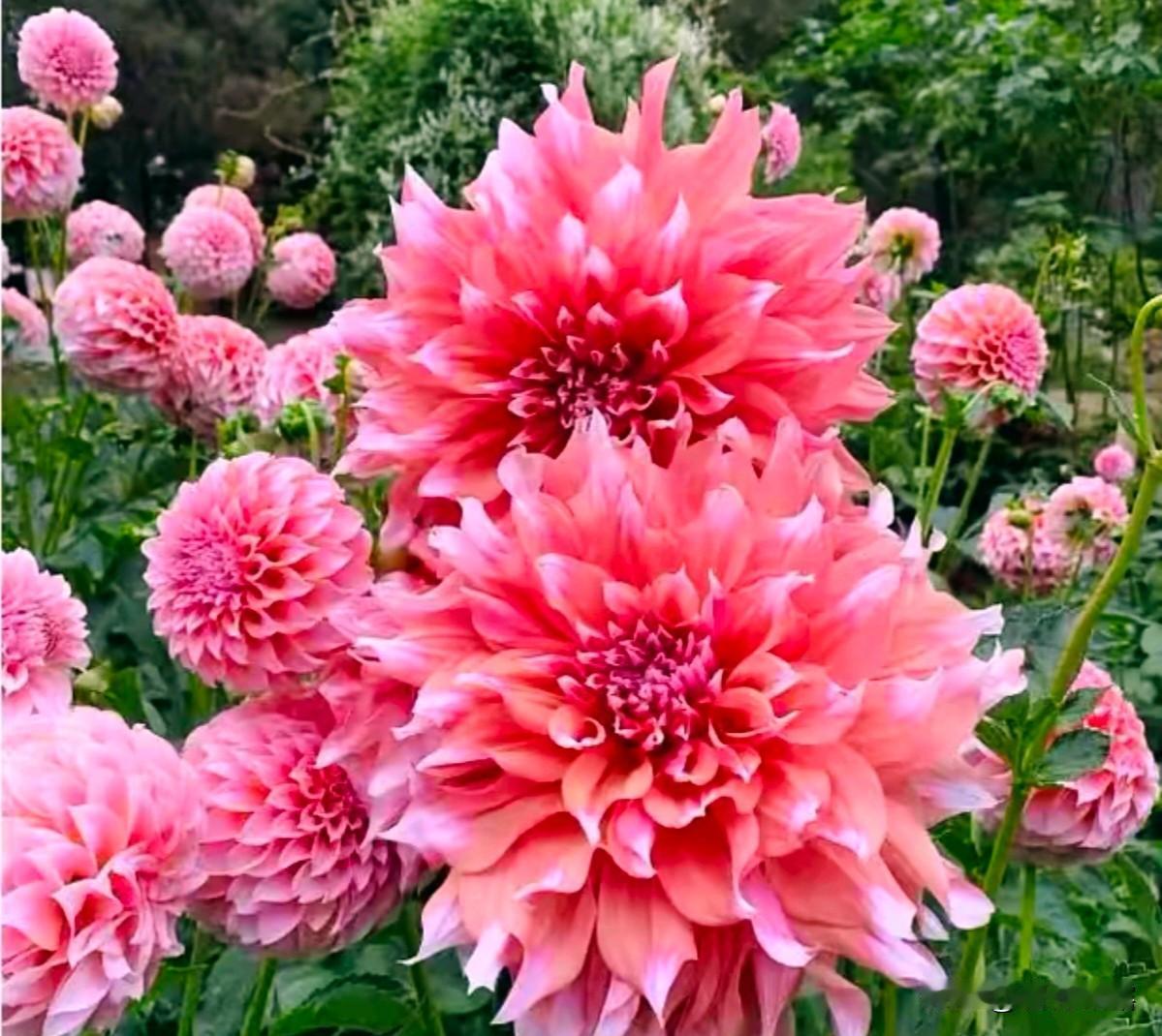 人生最好的状态就是让自己安静下来，泡一杯茶，此刻水是沸的，心是静的。三餐四季阳光