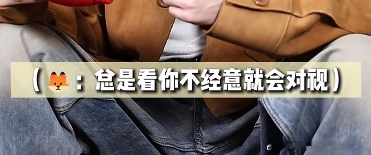 这个字幕的🦊也挺有意思虽然指的是采访人员但是另一个🦊也就这样了依然记得小铮哥
