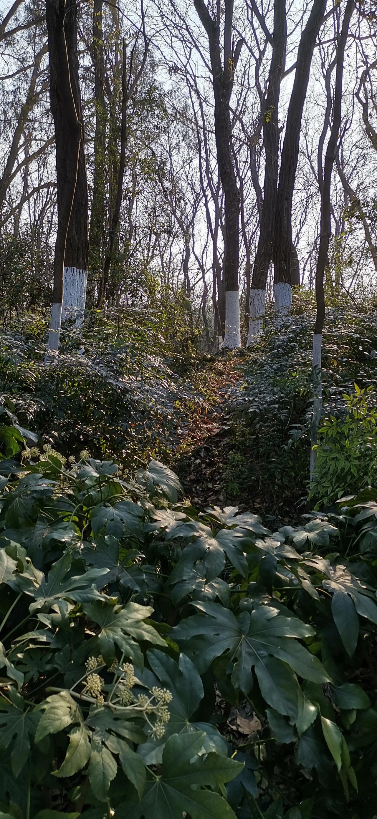 冬日生活打卡季