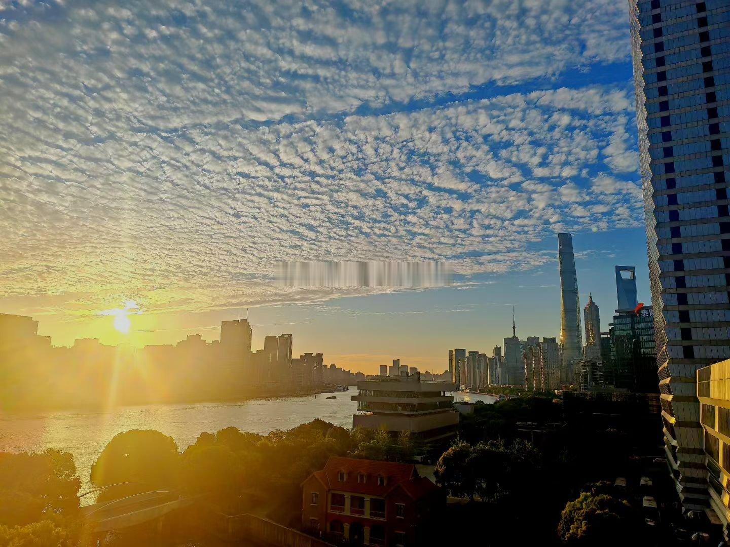 分享图片 