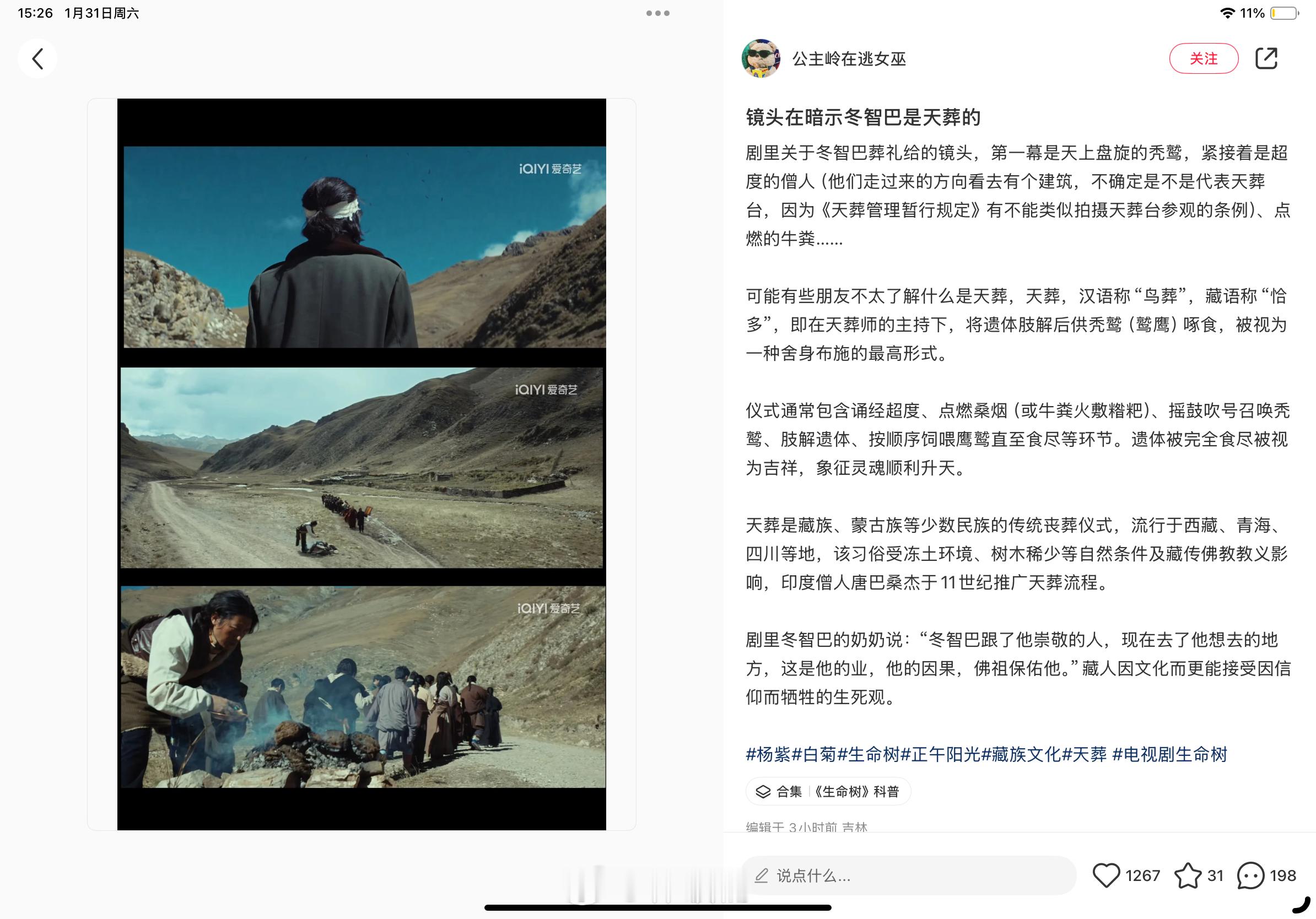 生命树生命树原来冬智巴是天葬的