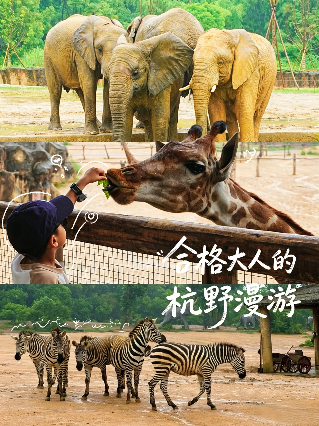 六一杭野｜被小主理人安排的松弛遛娃日🦒