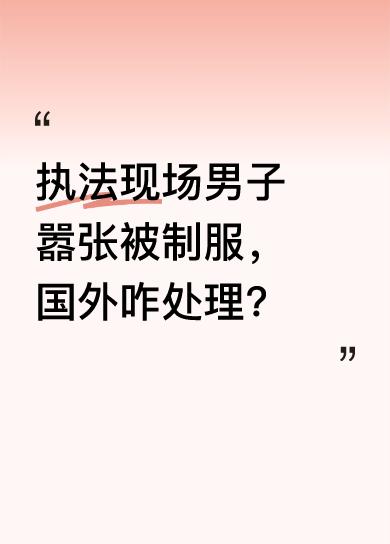 在国外的执法现场，有个男子十分嚣张。从画面中能看到他还挑衅说着“再看，再看”之类