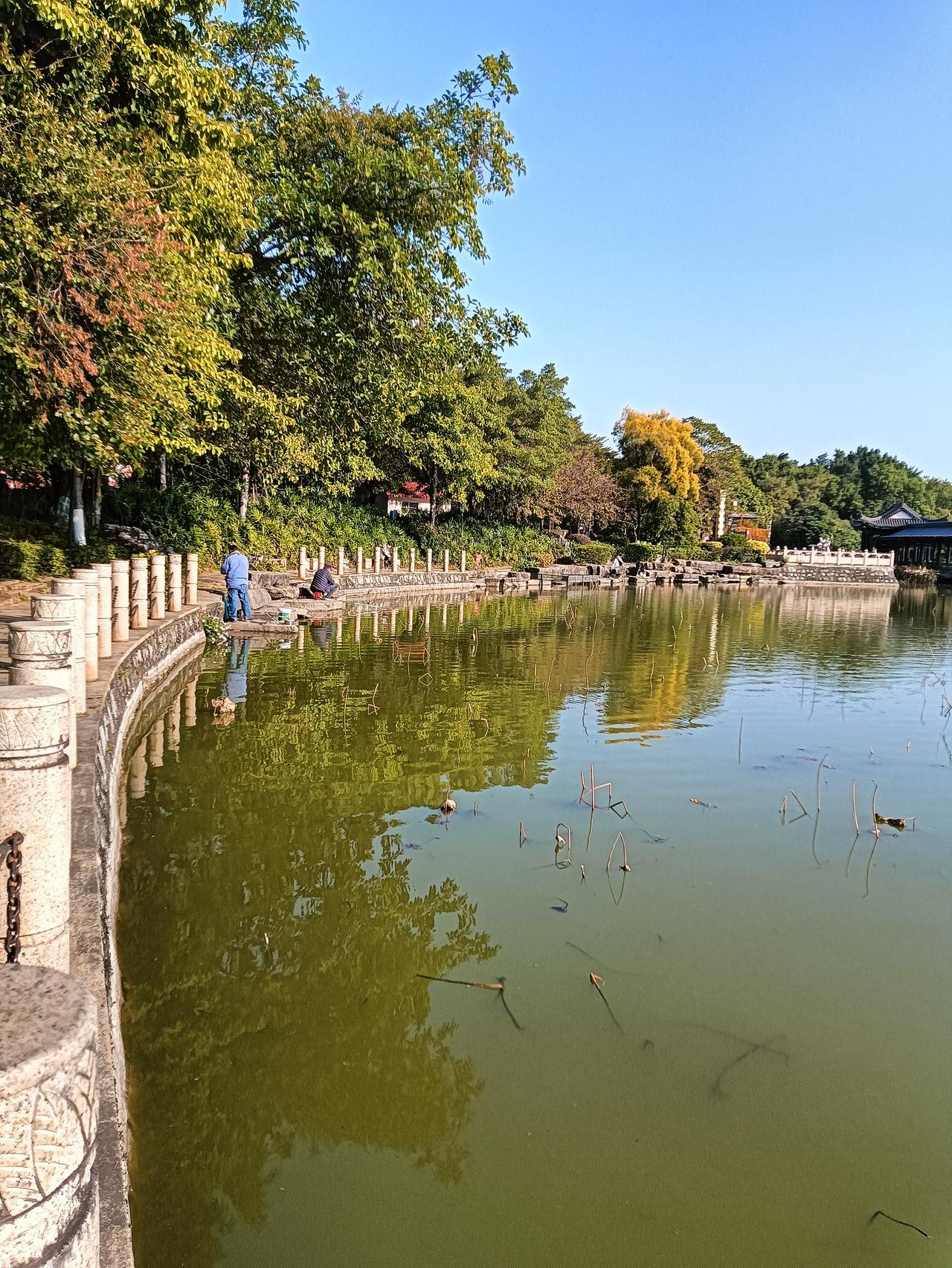 下午到贵港东湖公园周边逛逛，所见冬日下湖边景色宜人。公园边上见一5元理发简易摊点