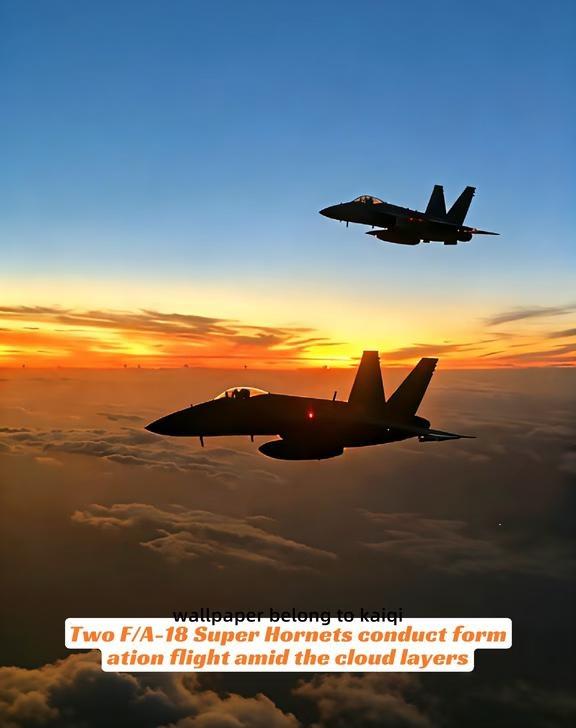 暮云霞天｜两架F/A-18超级大黄蜂战机伴飞中
搞的就是艺术 航空摄影 航空 飞