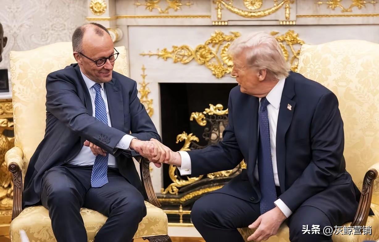 德国总理访问美国，特朗普说是美国逼以色列打击伊朗的，要不然早就是核战争了。明明网