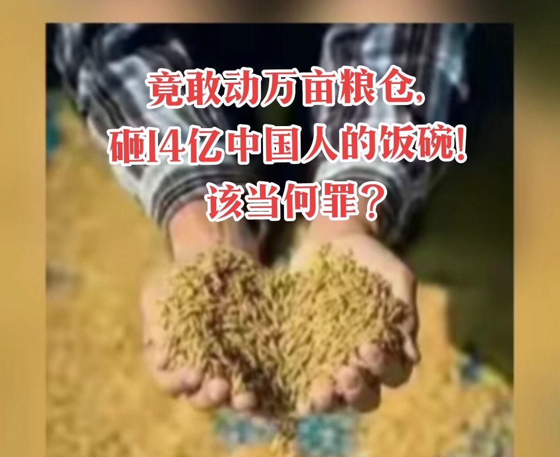 农民被坑了！这不只是种子的问题！这牵涉到亿万中国老百姓饭碗端的稳不稳的问题！
农