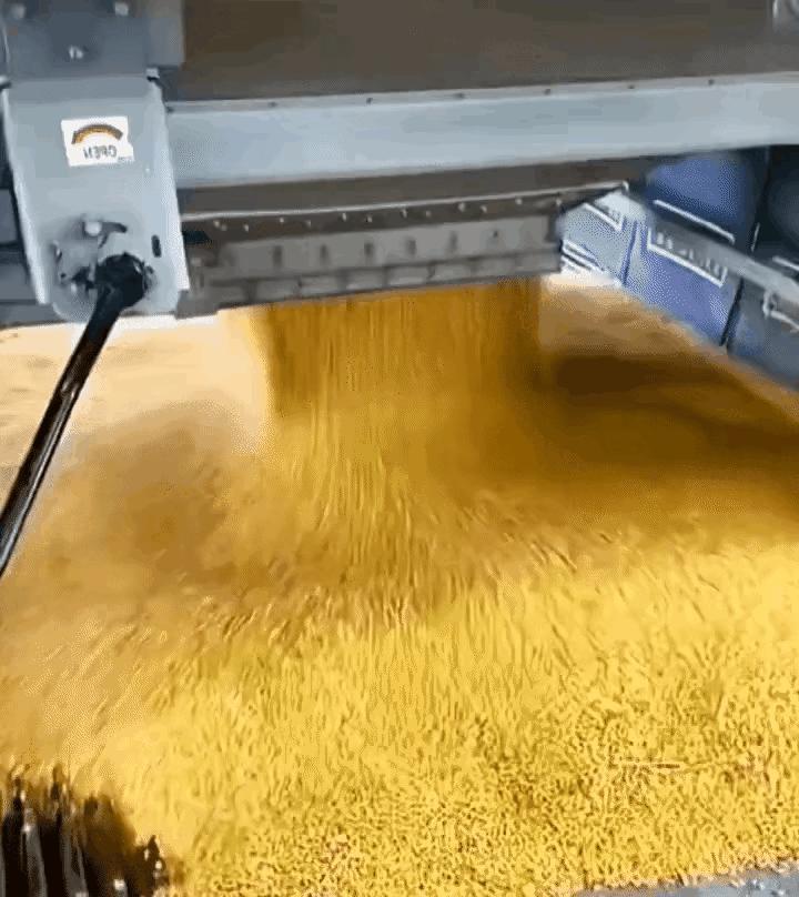 什么玩意？还没有见过这么大的老鼠吧？