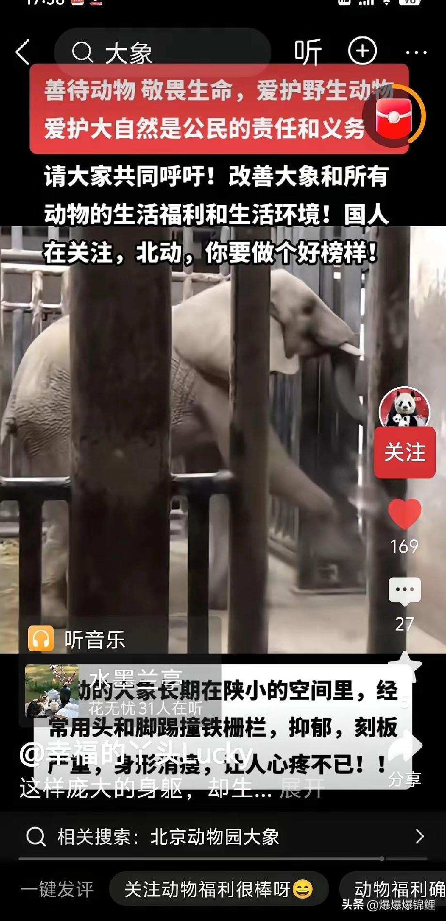 去北京动物园看大象，真把我给看难受了。

那些大象被关在窄巴巴的铁栏杆里，一直不