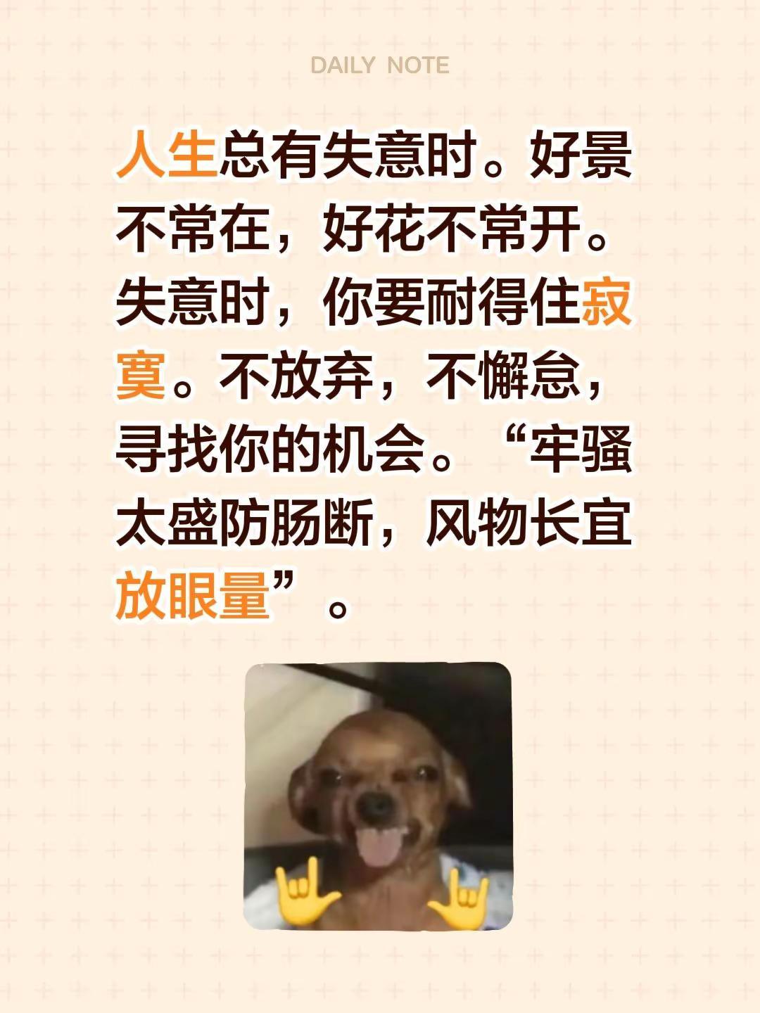 人生总有失意时。好景不常在，好花不常开。失意时，你要耐得住寂寞。不放弃，不懈怠，