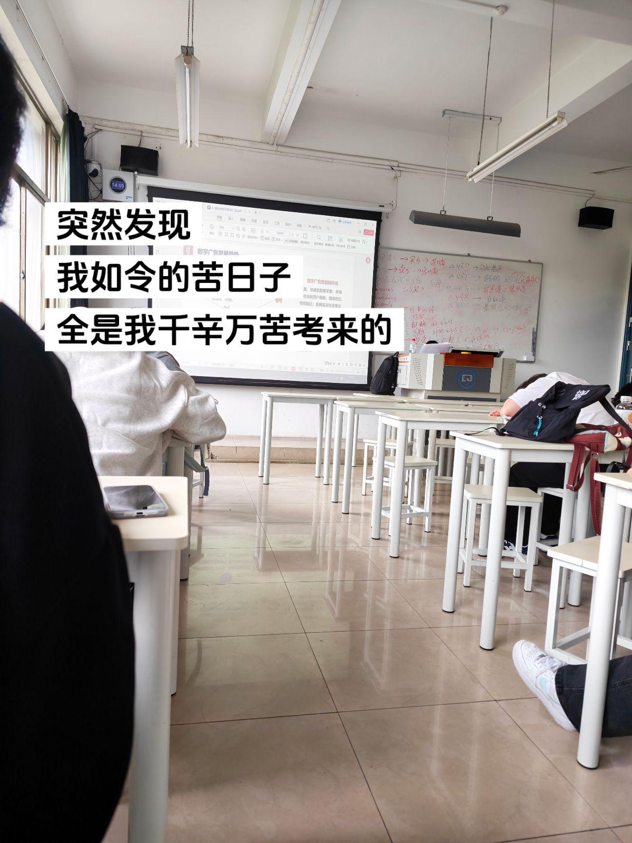 真没招了