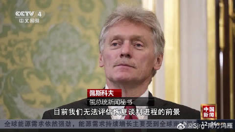 俄总统新闻秘书：目前无法评估重启俄乌谈判前景我在央视频，邀你一起看更多...