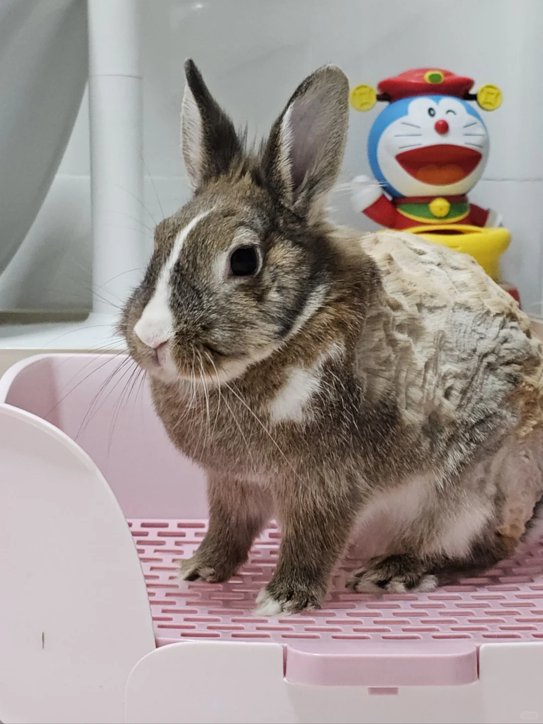 终于还是走到了这一步