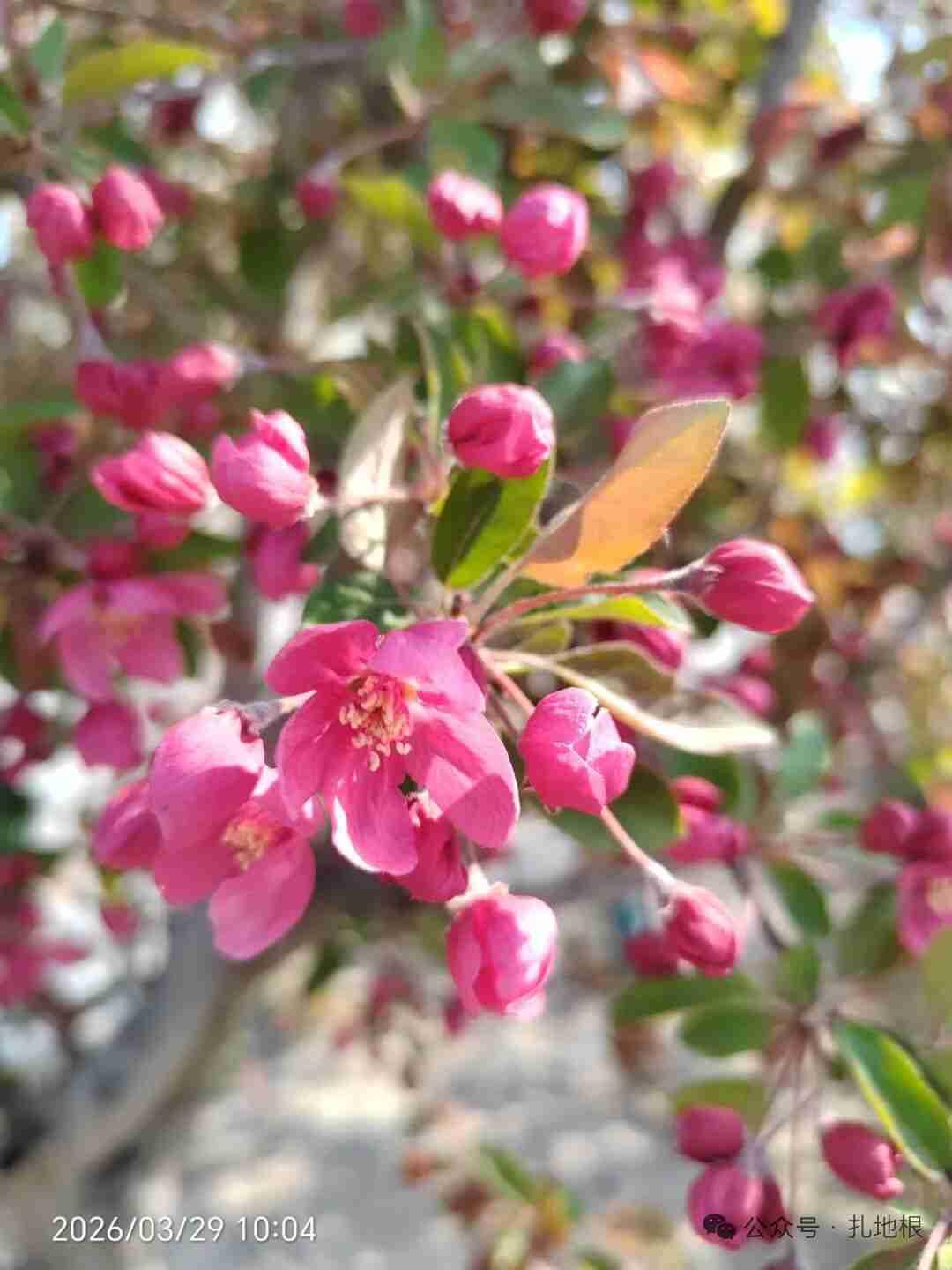 我的今日状态：😁轻松愉快
我这里的天气：☀️晴天