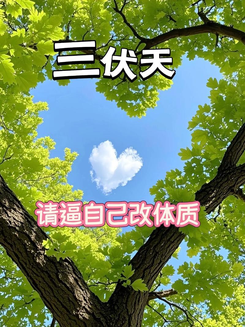 我发现咱们中老年朋友，一到天冷就各种老毛病找上门，鼻炎、关节疼、肠胃不舒服反反复