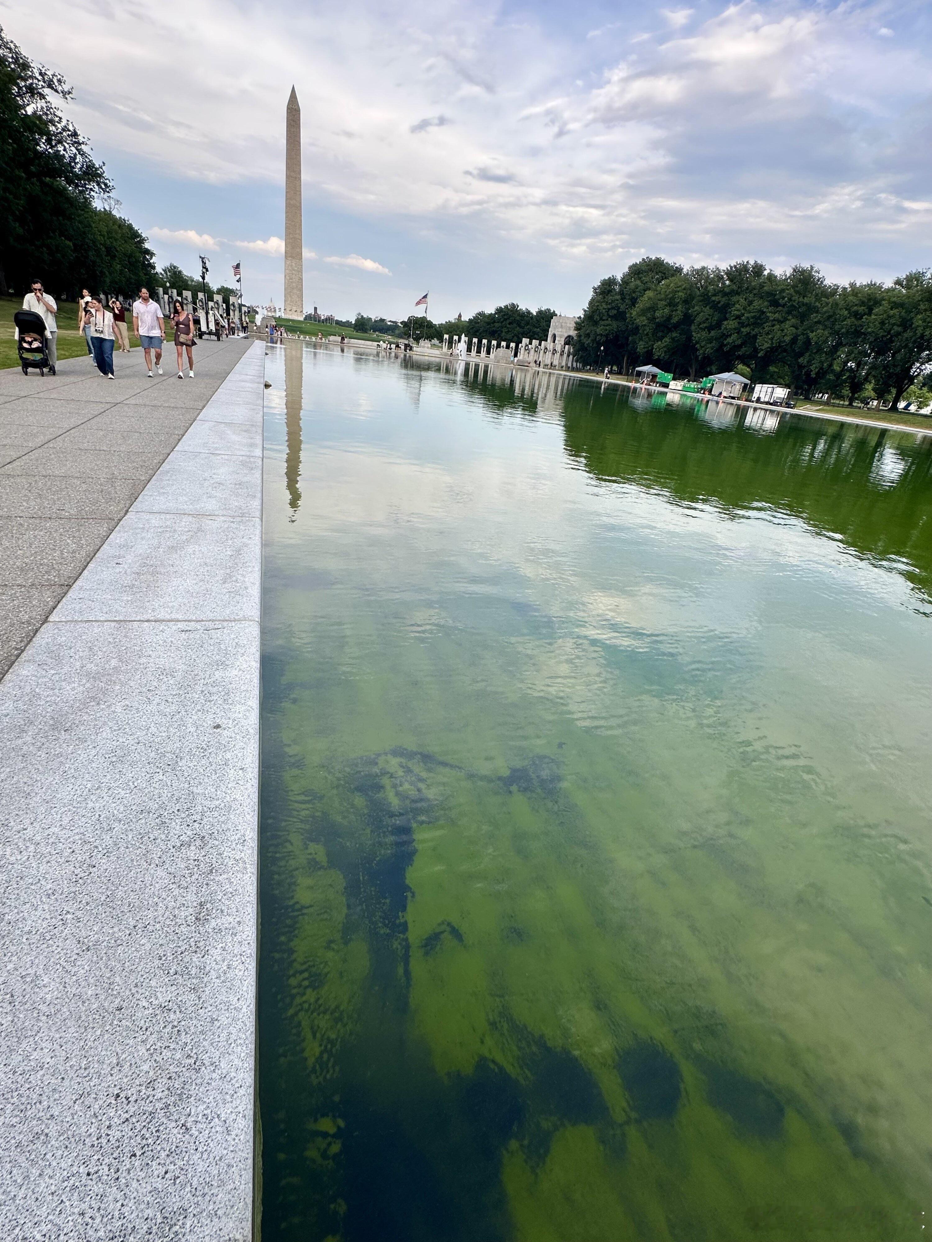 这次打算花多少钱？美国总统特朗普表示，将立刻启动华盛顿倒影池翻新工程的返修工作，