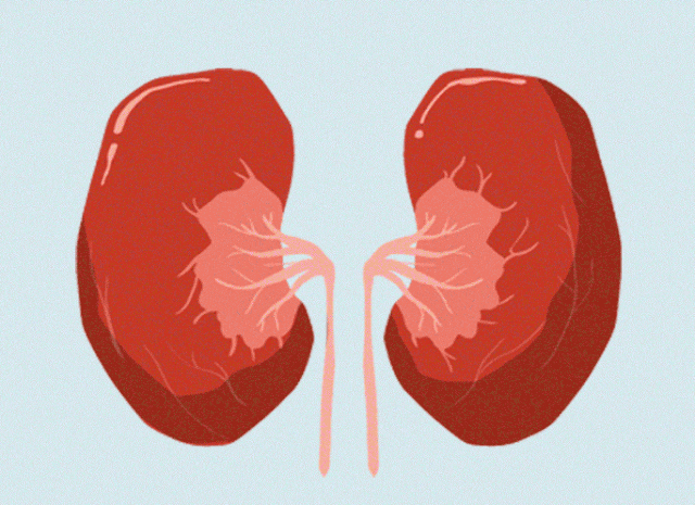 喝水后的一些身体反应，能看出肾脏是不是健康。如果小便的样子或者感觉出现某些变化，