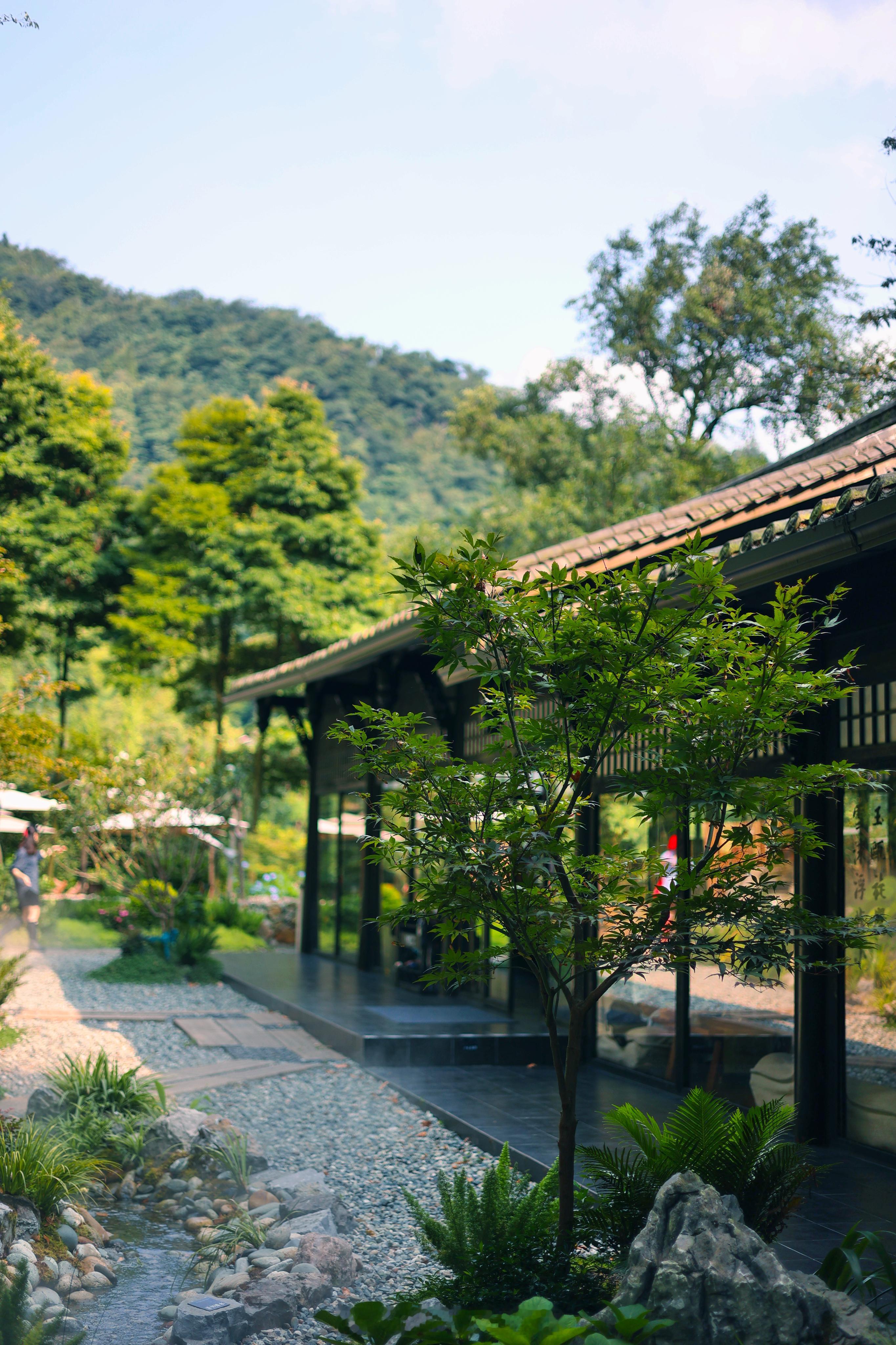 推窗见绿 🍃呼吸新鲜空气  ​​​