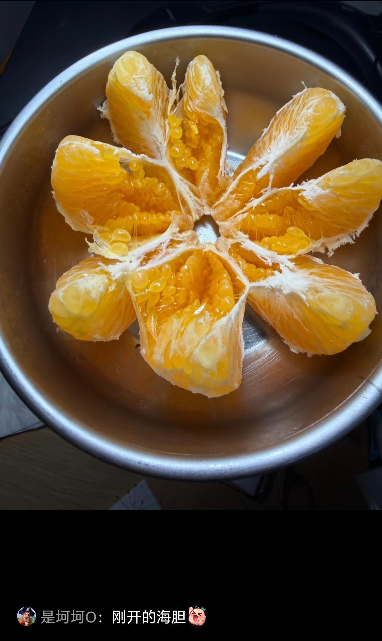 《刚开的海胆》 