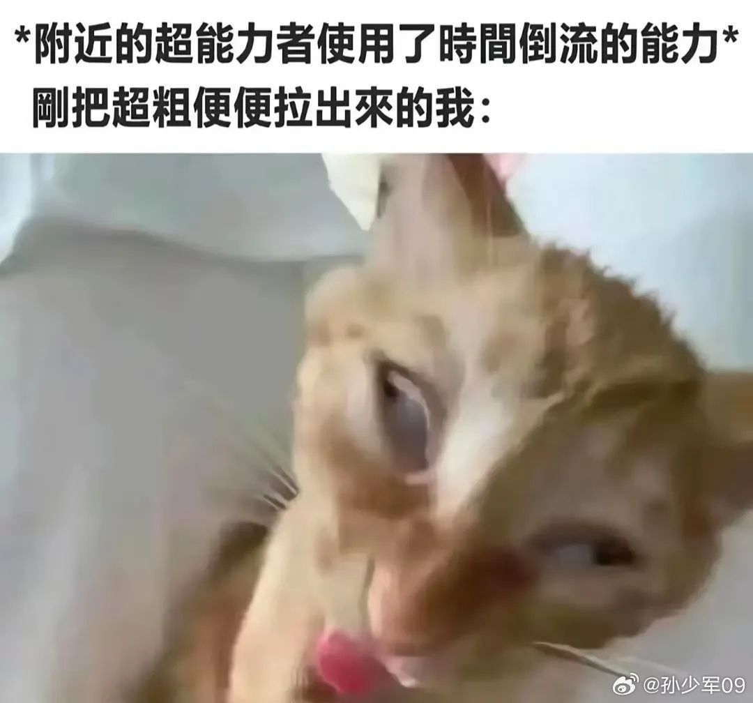 越吵架从业者越希望有个可以安静聊行业的地方。这几天盘了下数据，车 fans 从业