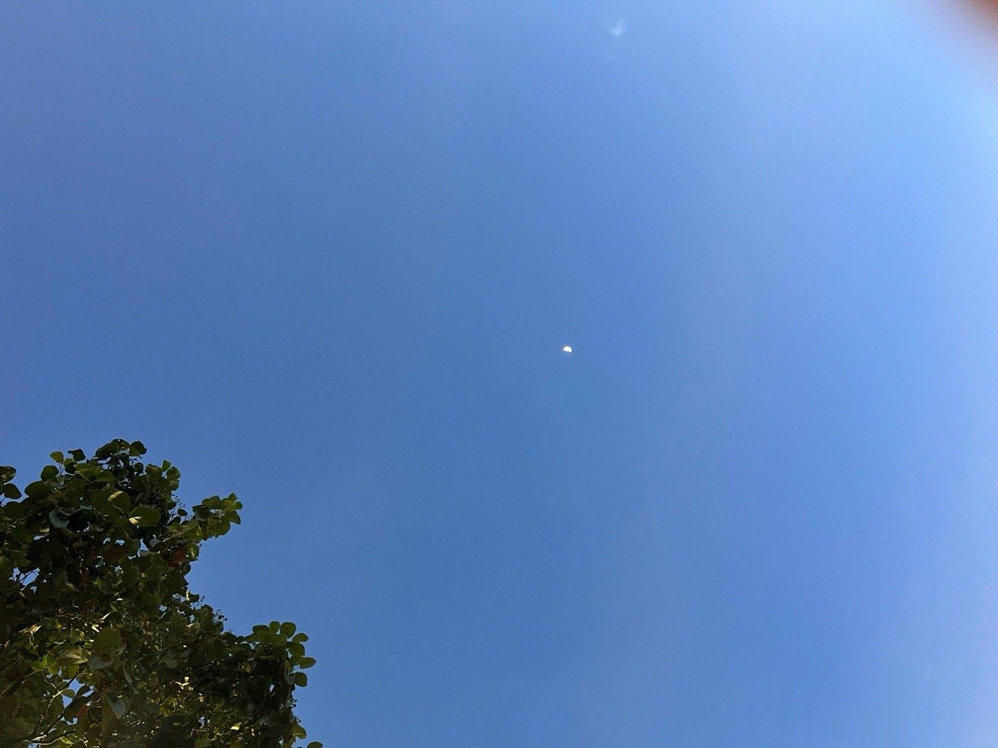 快到我的嘴里来 