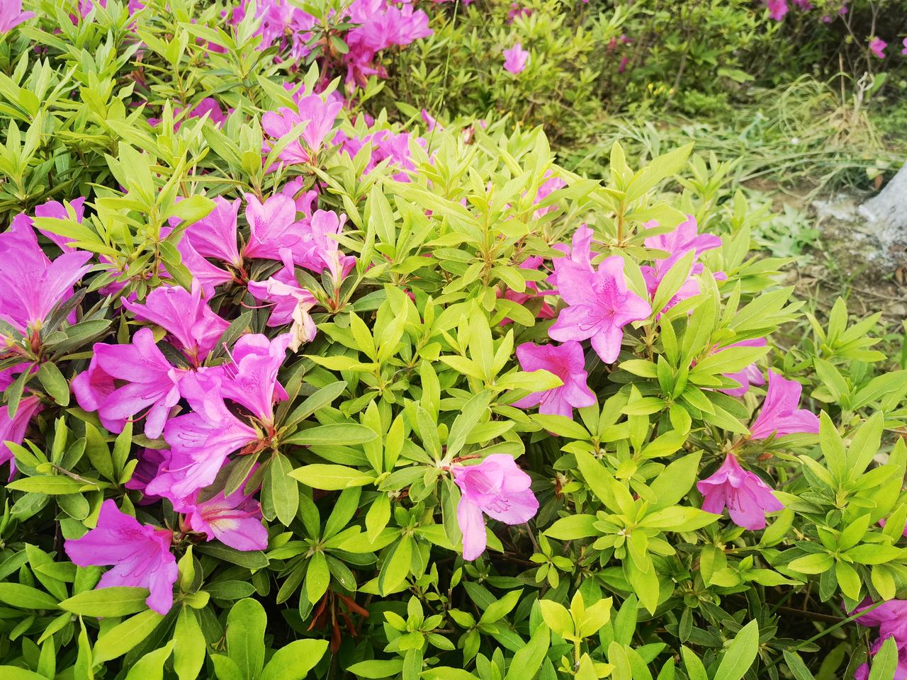 贵人的存在，奋斗路上你少许多挫折。这一点，我深有体会。奋斗路上的好心人
被发现，