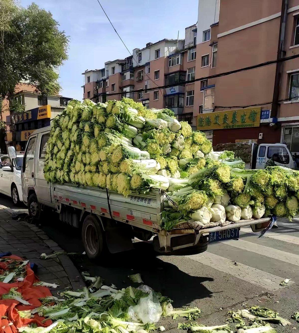 老百姓种的东西真不值钱，刚看到我们这里群里发消息，出售大白菜0.25元一斤、大葱