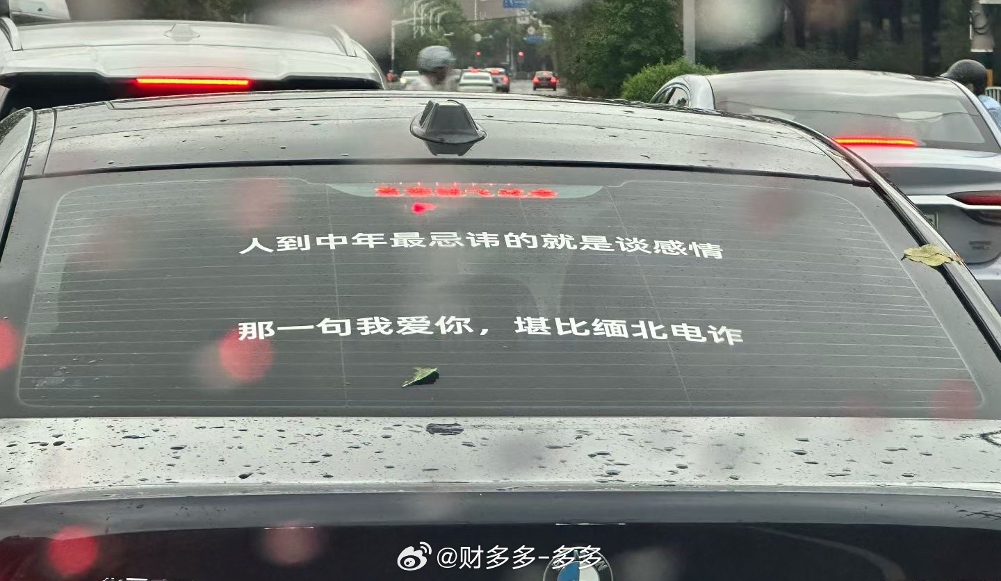 车主简直就是人间清醒。