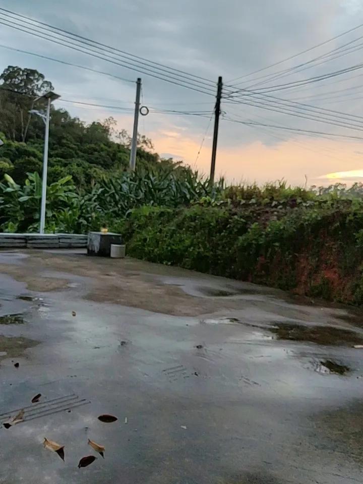 刷到陈哈琳8月28日晚在福建发的那组雨后公园随拍，瞬间被戳中了。
没有刻意找网红