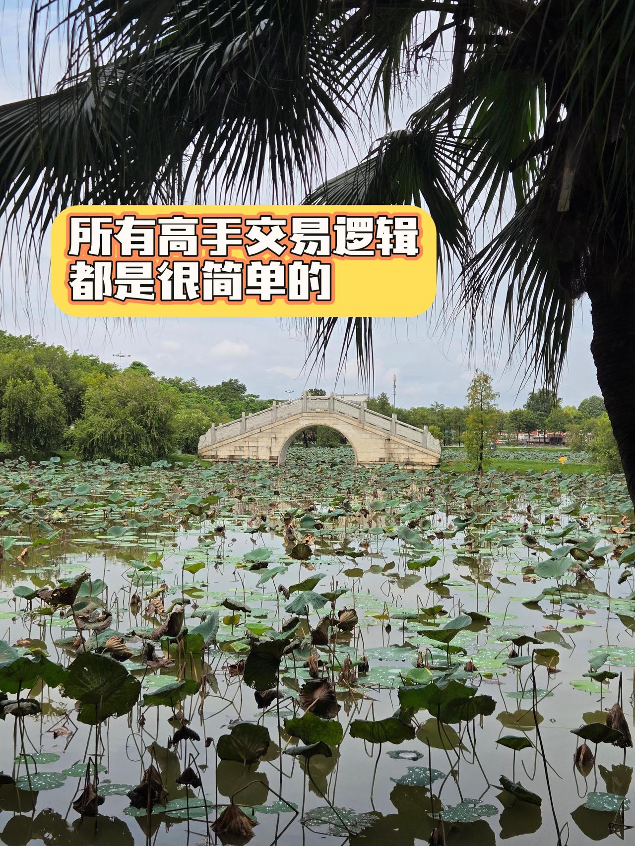 北京炒家 游资大佬