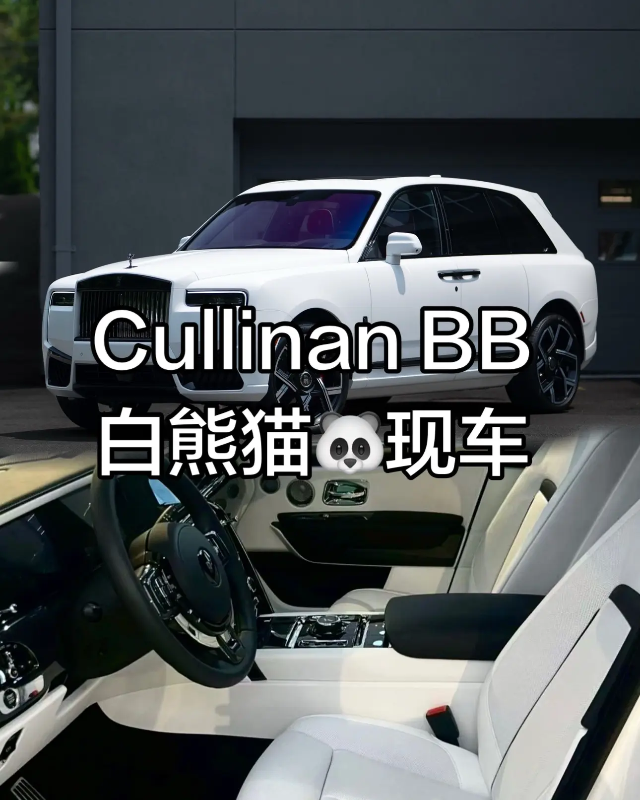 库里南BB熊猫🐼配色随时可提！