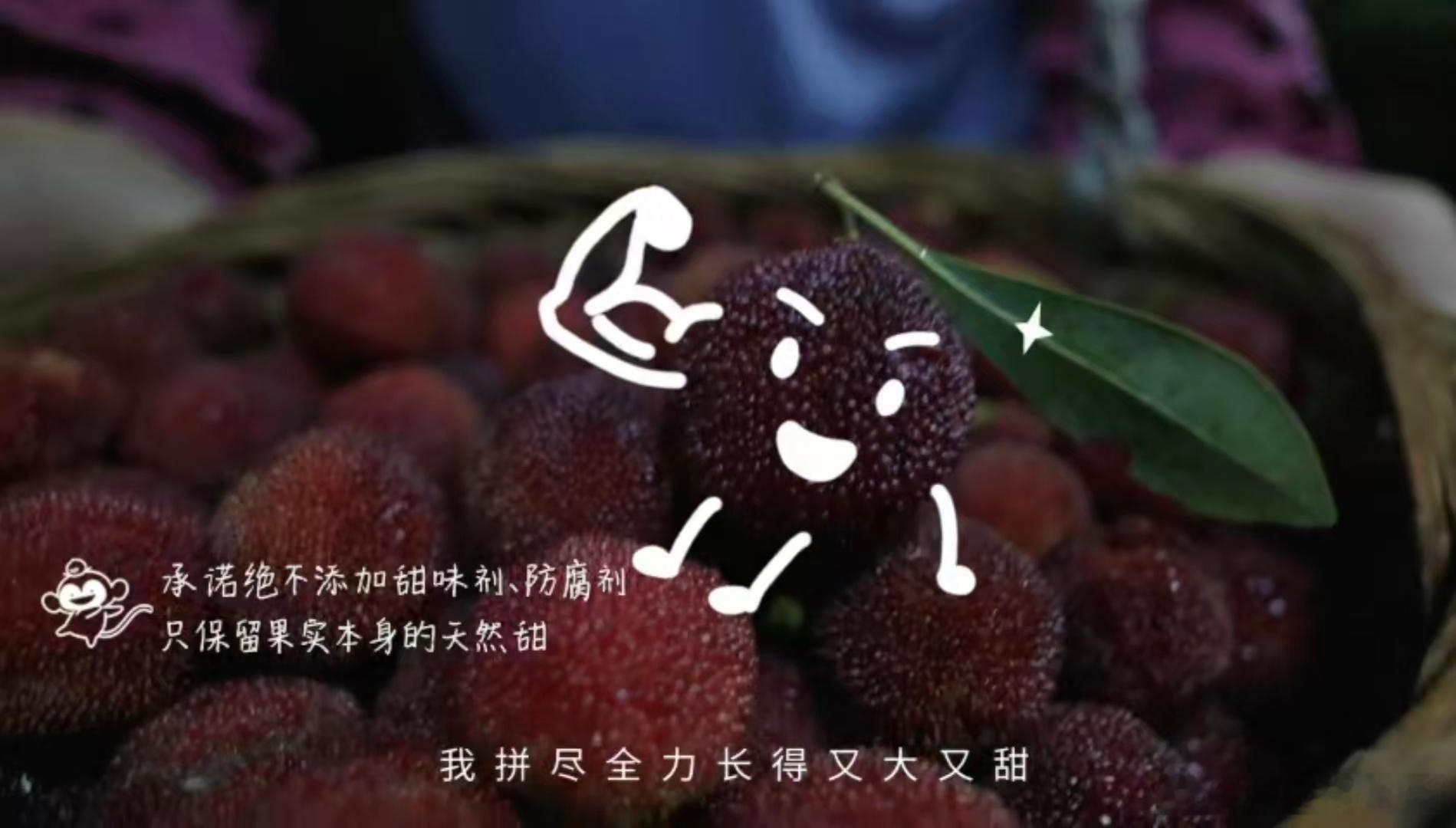 在江浙沪如果没人送你杨梅杨梅风味易逝，百果园坚守当日鲜果日清。用心当好大自然的搬