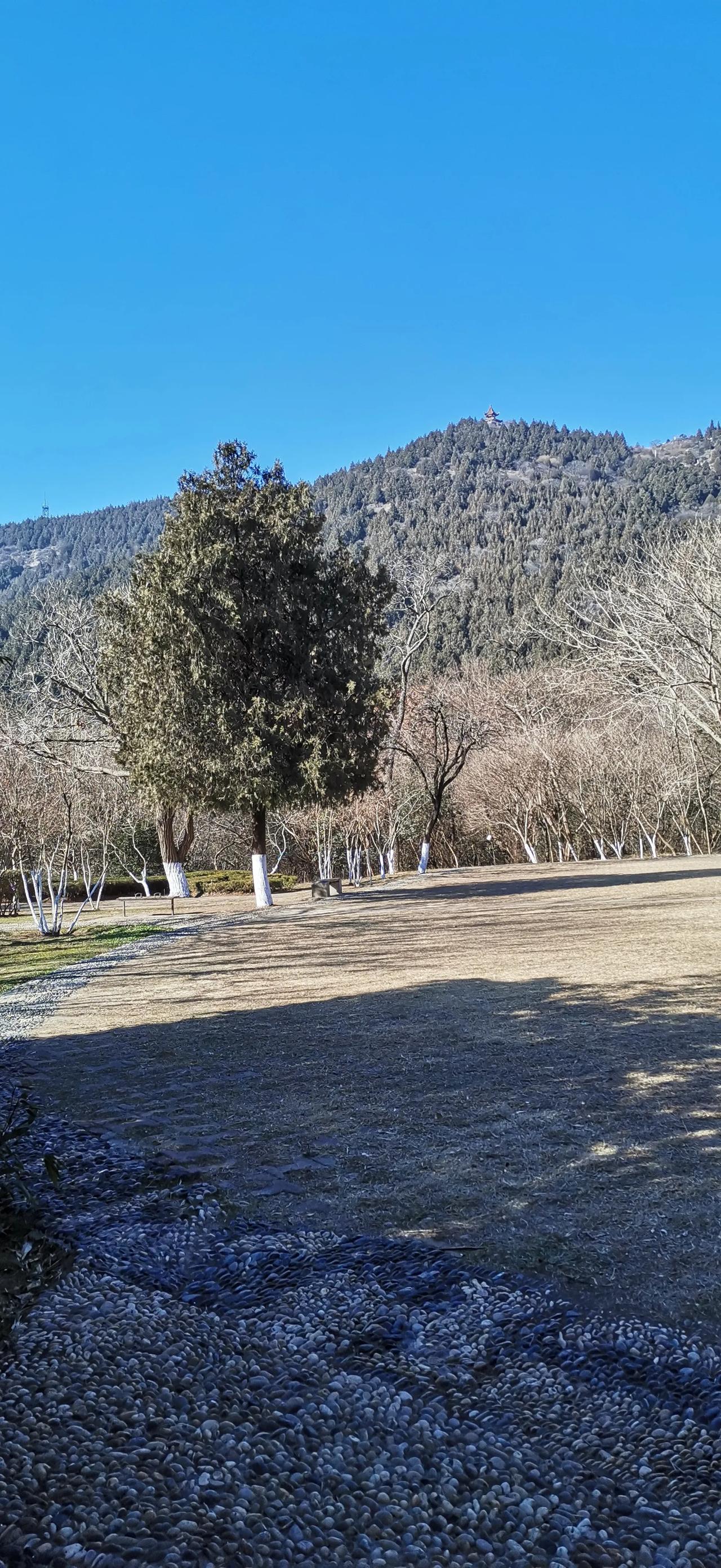 公园🌸🌿随手拍