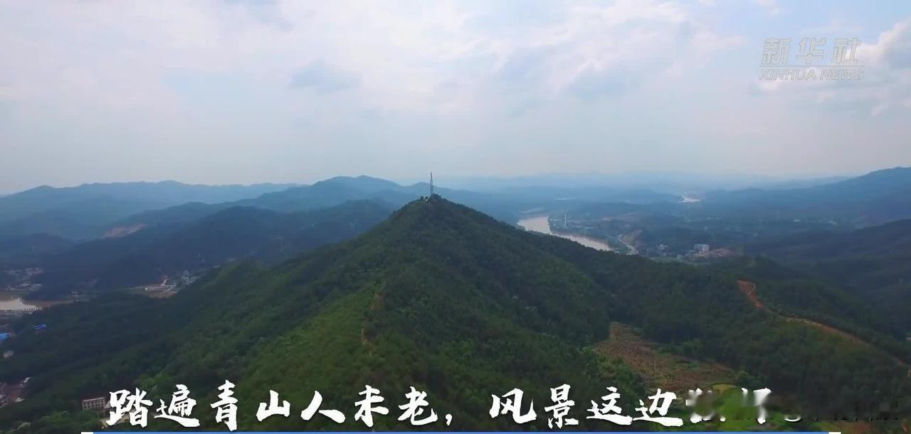 任凭风浪起，稳坐钓鱼船。
现如今，联合国“五大善人”，已经有四个直接或者间接卷入