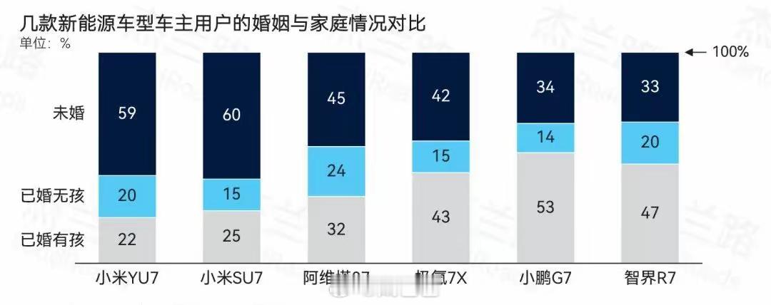 确实牢牢占据了年轻人市场新能源汽车 ​​​
