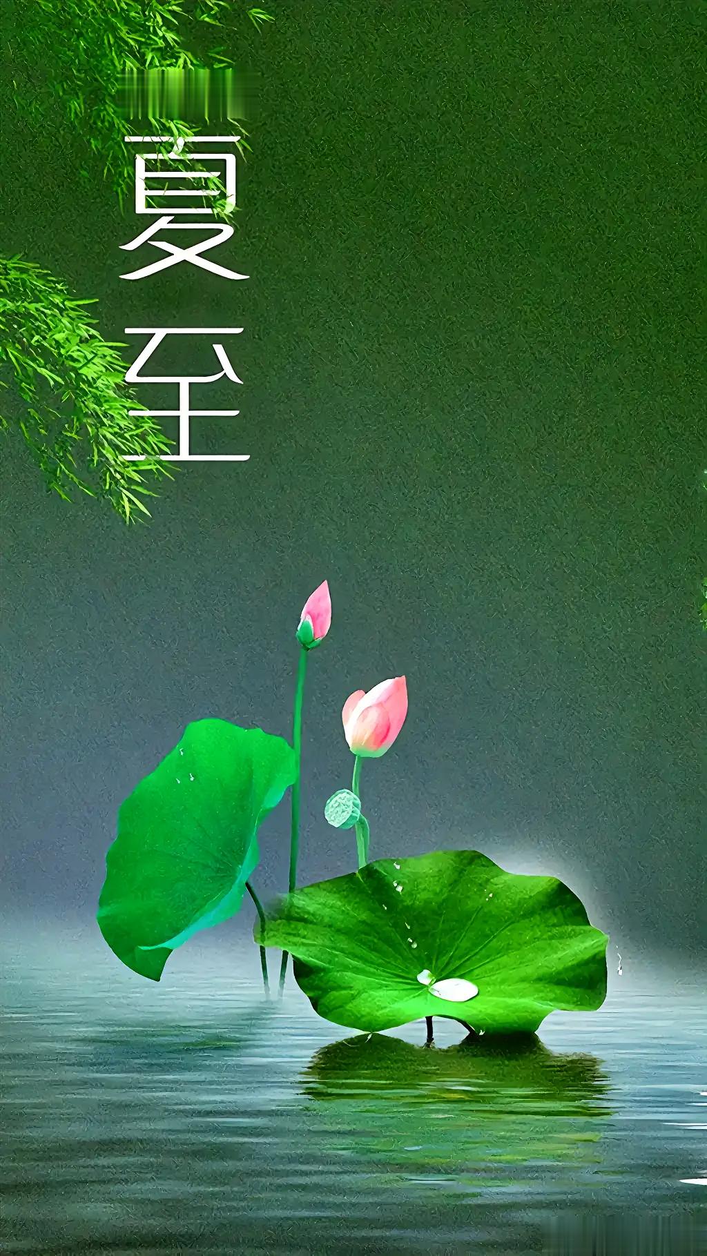 夏季已到，要保护一身阳气，充盈气血 夏至的到来，预示着天气逐渐进入“烧烤”模式，