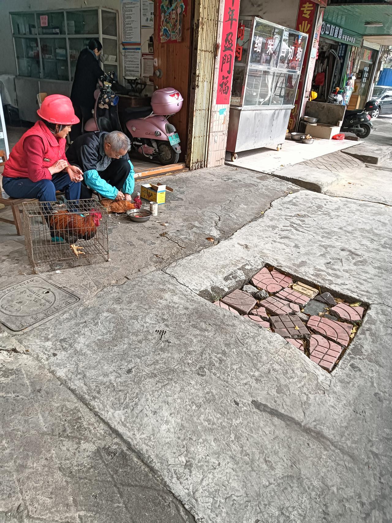 中午经过贵港市港北区江北大道附近见一老者在阉鸡，又记起小时候在农村家里经常有阉鸡