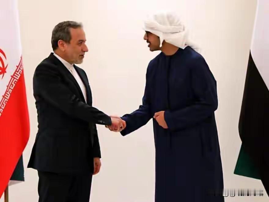 不再把命运交给别人！阿联酋加速布局替代通道，海湾国家集体反思安全困境
 
美伊冲