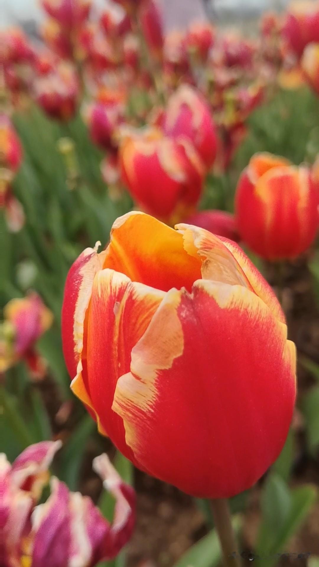 你们在外面怎么称呼陌生人？比如要问路或者在医院问事情。

70年代，80年代的人