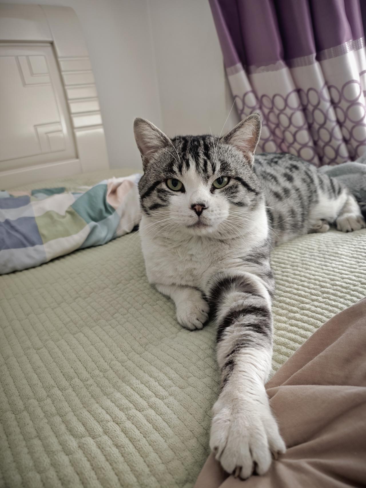 果然是挣不到认知以外的钱，这次打新债中的肥签金05转债卖了，你们都挣了多少？我挣