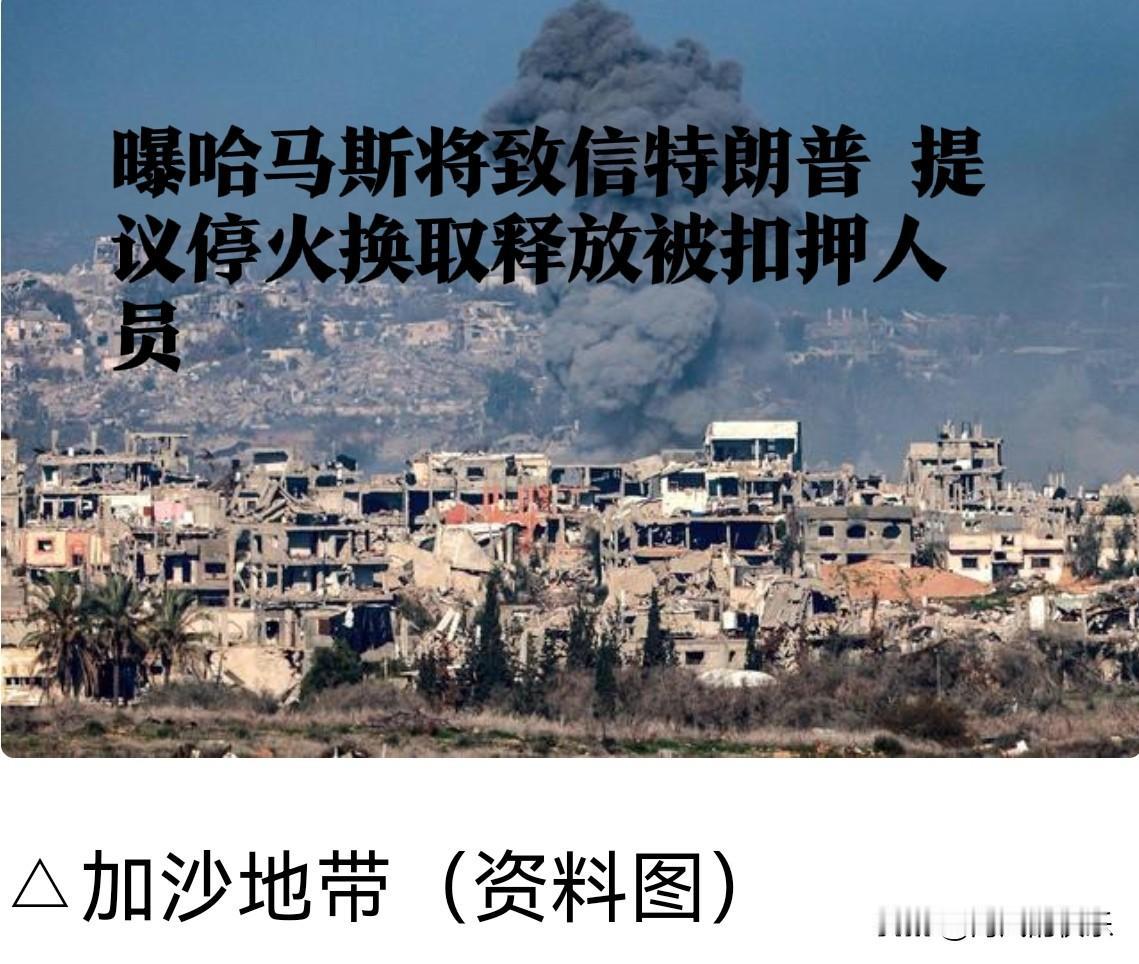 哈马斯致信特朗普提议停火 愿以释放半数被扣押人员换60天停火‌

   加沙地带